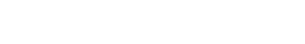 BOSS Aircraft Refinishers logo